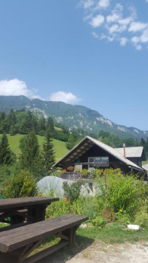 Farm stay Majdač